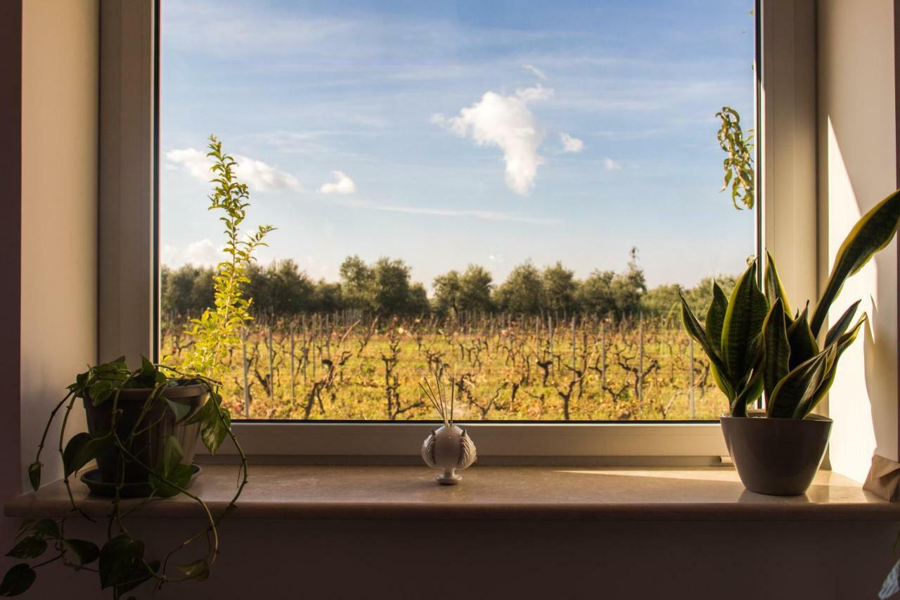 Tenuta Vigna Del Noce コラート エクステリア 写真
